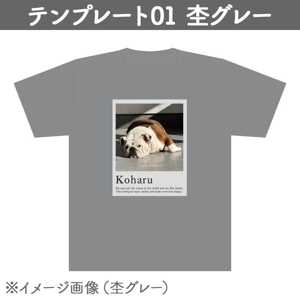 【プリントライフエッグ】Tシャツ 5.6オンス ヘビーウェイト 杢グレー テンプレ01